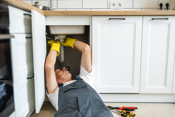 Best Clogged Drain Plumber  in Monmouth, IL